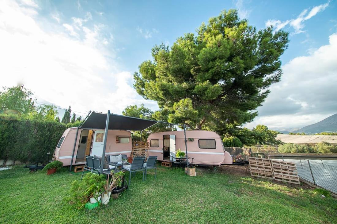Holiday home Caravana- Glamping Casa Tortuga *